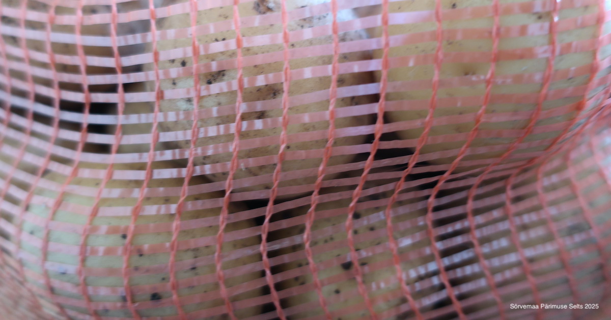 Sügisejutud Jaagu Ulviga